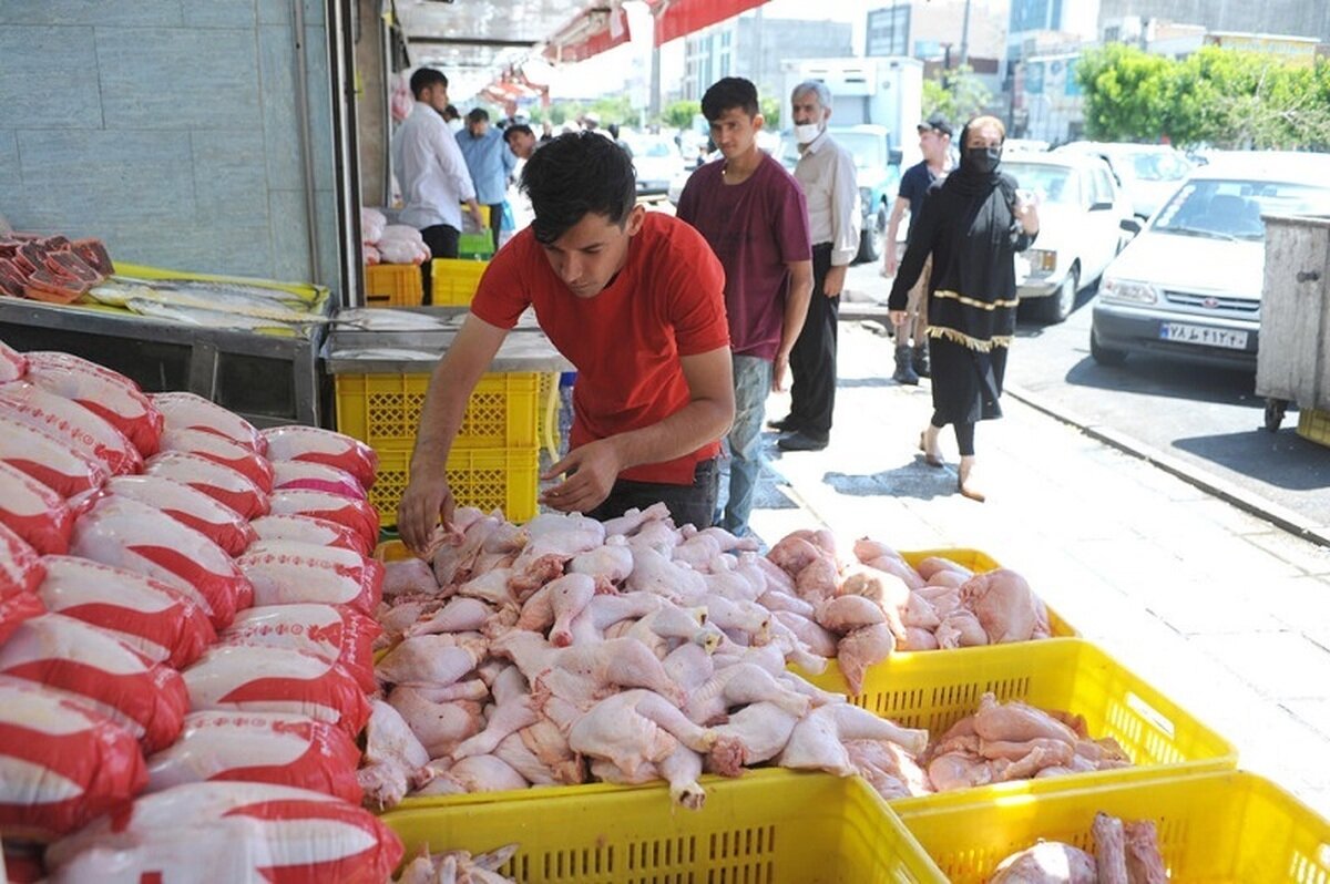 آخرین وضعیت بازار مرغ در تهران